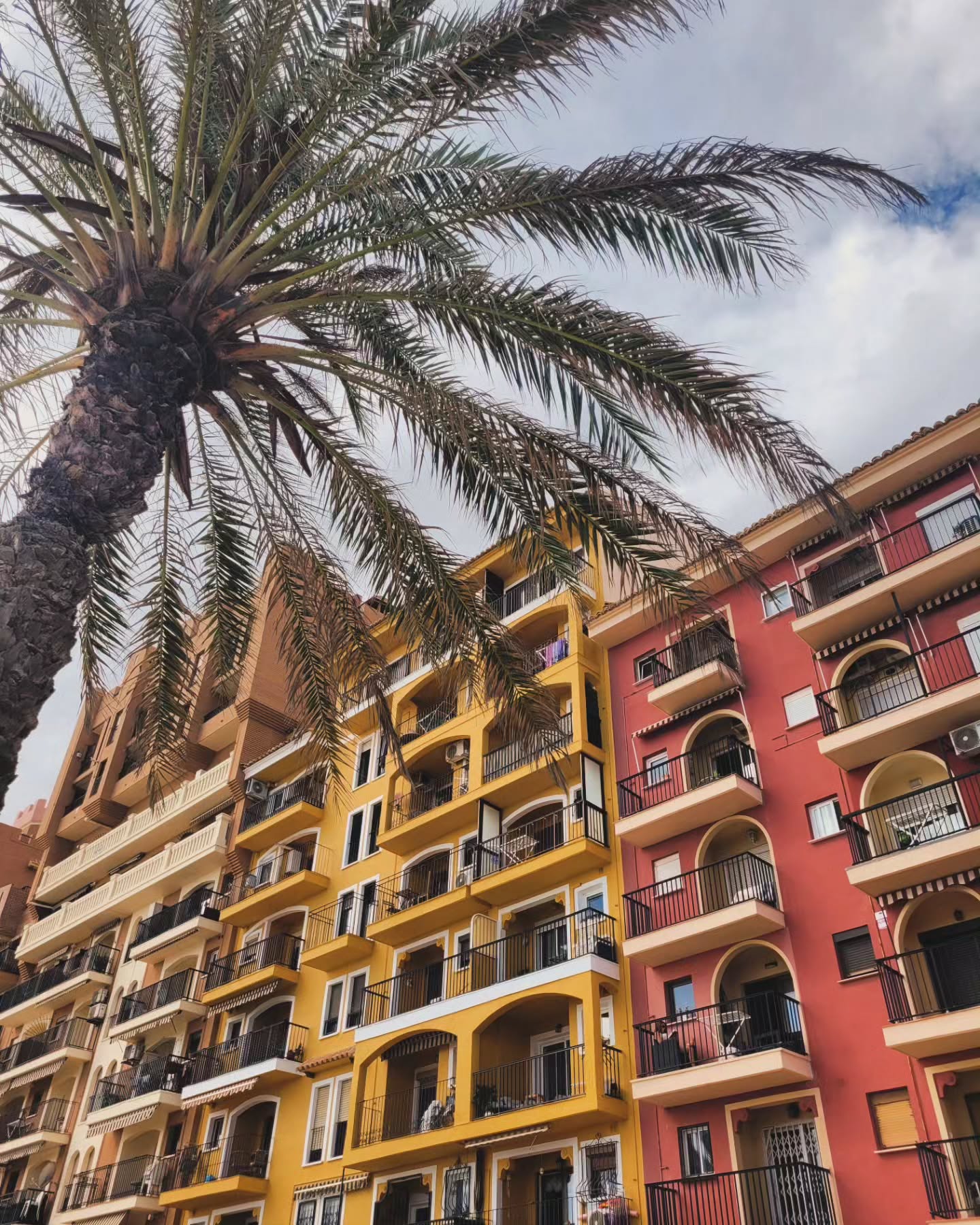 Diapositivas de tranquilidad
🌺 🌼 🌹🌷