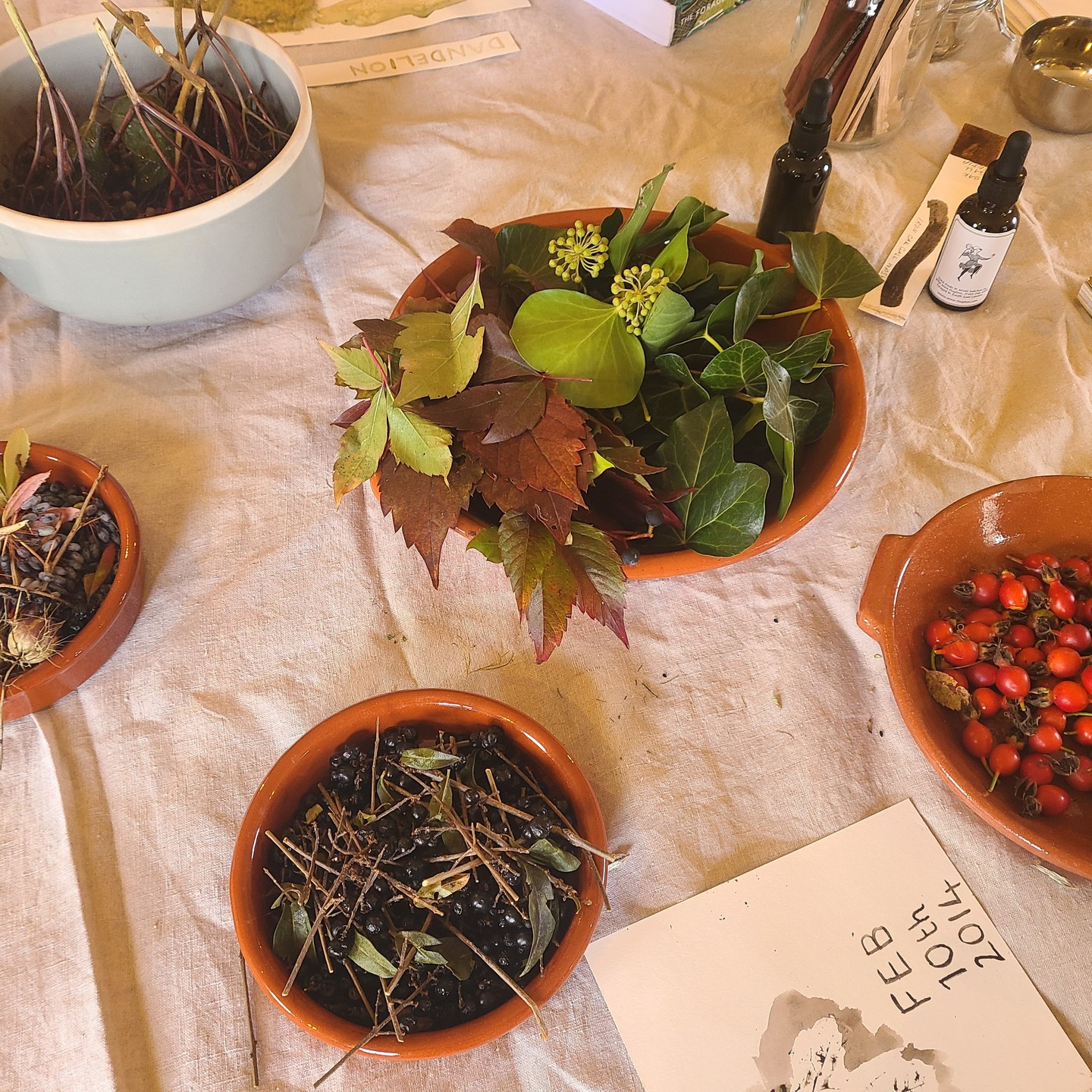 Have you tried something new recently? I was very curious about workshop @exchangeerith Foraged Ink and Paint delivered by amazing @_anna_hughes_ . Imagine making your own ink from foraged plants - berries, leaves even roots.
The colours are so subtle yet so beautiful. Getting my pots and pans ready for cooking.
#botanicalink #inkfromplants