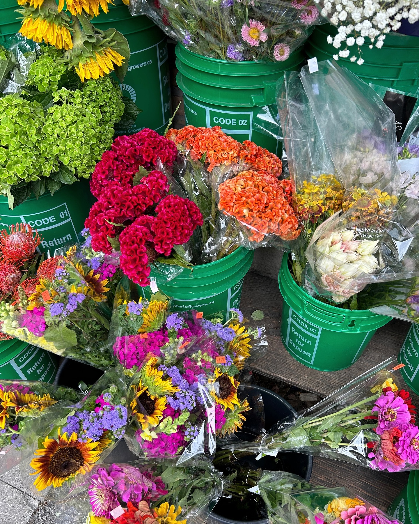 Pics or it didn't happen!