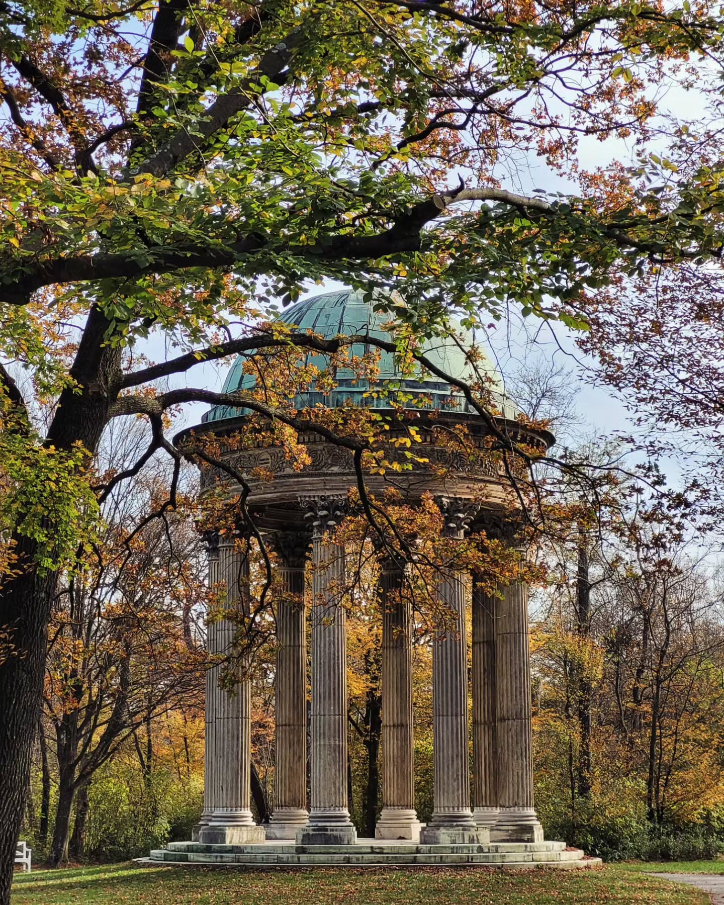 🍂
Qué admiración todo aquello que se marchita, en su ciclo natural, para volver con más fuerza.
Desprenderse de las partes propias, entre medio de tanta acumulación y cambiar de color.