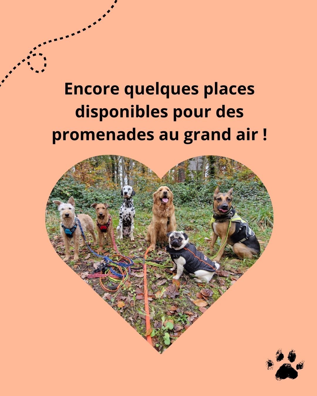 🐾 Vous manquez de temps pour promener votre chien ? 🐶
Entre le travail, la vie quotidienne, les journées courtes, le mauvais temps et la nuit qui tombe vite, il peut être difficile de trouver le moment idéal pour une belle balade. 🌧➡🌞
Avec Dog Trotter, offrez à votre chien une promenade en plein jour et au cœur de la nature. 🌿☀
Votre compagnon à quatre pattes pourra profiter d'exercice, de stimulation, de ses copains... un pur bonheur ! 💖
📅 Bonne nouvelle : il reste encore quelques places disponibles ! N’attendez plus pour réserver une promenade sur mesure adaptée aux besoins de votre chien. 🐕✨
👉 Contactez-moi dès maintenant en message privé ou par WhatsApp
#DogTrotter #DogWalker #BaladesPourChiens #ChienHeureux #Luxembourg #letzebuerg #servicespourchiens #bonheursimple #nature #manquedetemps #promenades