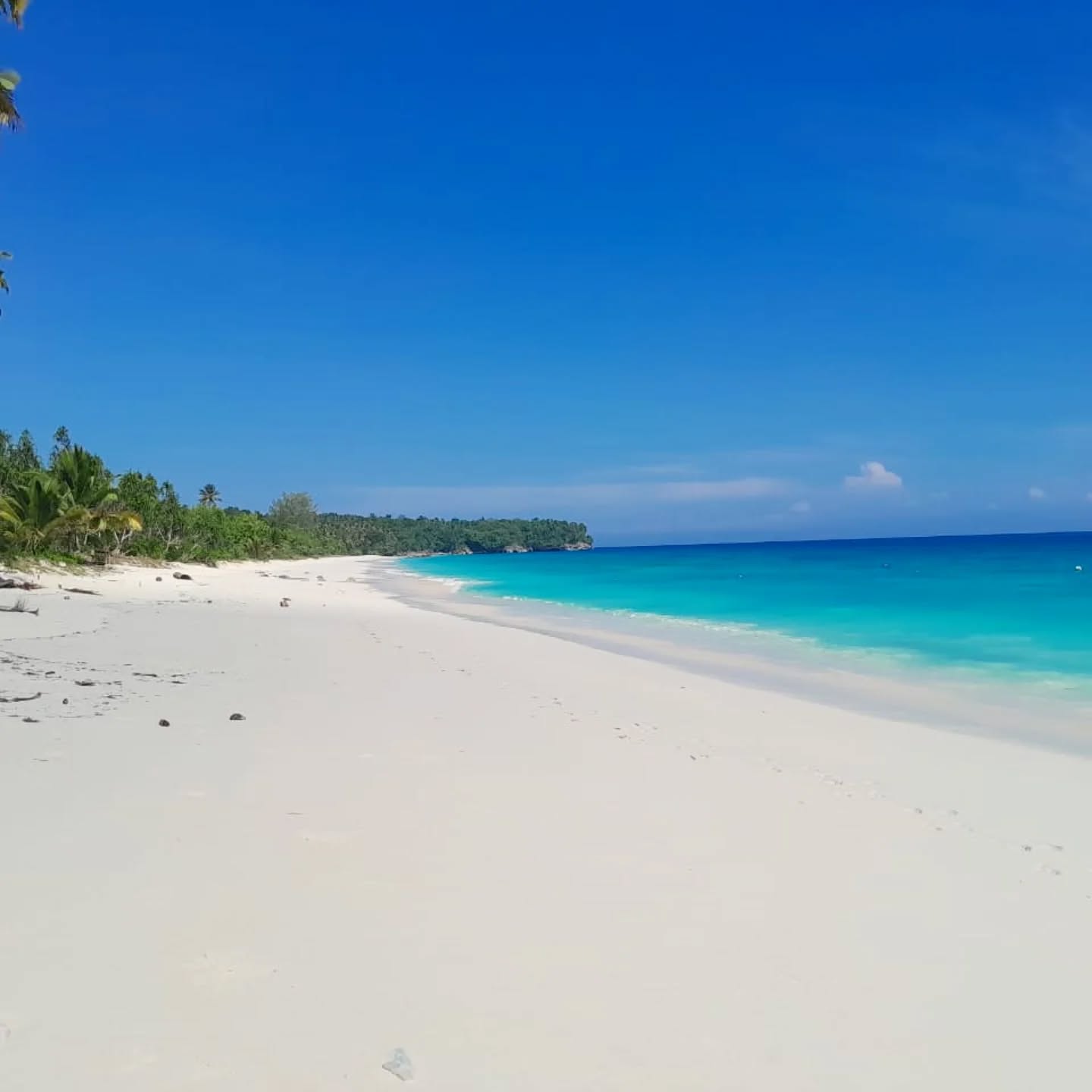 Exploring Luwuk Banggai and island with amazing family from Croatia ๐ญ๐ท
Thank you very much ๐