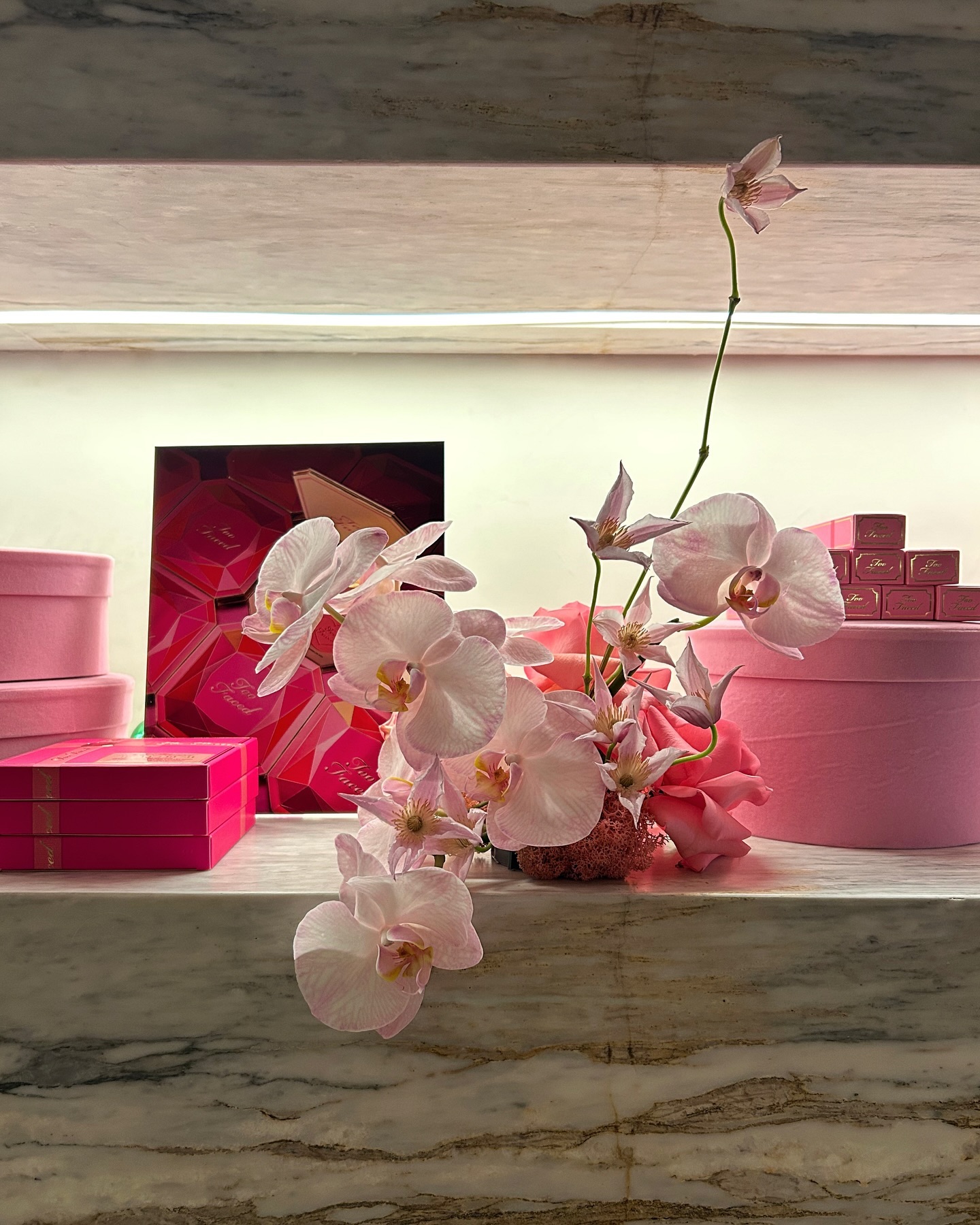 This week's camera roll