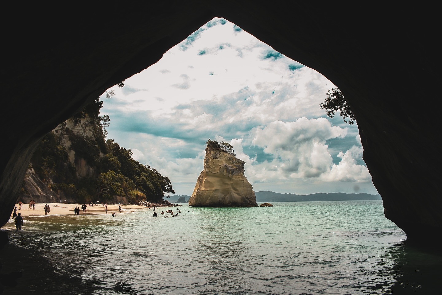 first liittle little glimpse of Aotearoa 🇳🇿🌸🌿