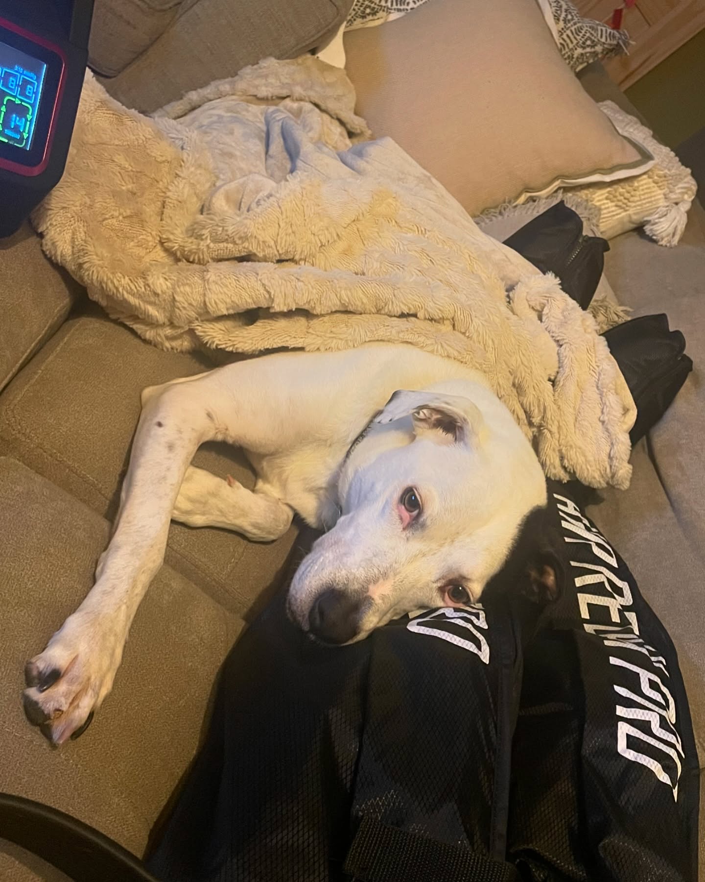 The ultimate recovery with the @airrelax PRO Recovery boots and the pup.
•
•
•
#recovery #relax #airrelax #airrelaxrecoveryboots #recoveryboots #weekendrecovery #sundayscaries #scw #since1923 #southchicagowheelmen #SCWMAR20