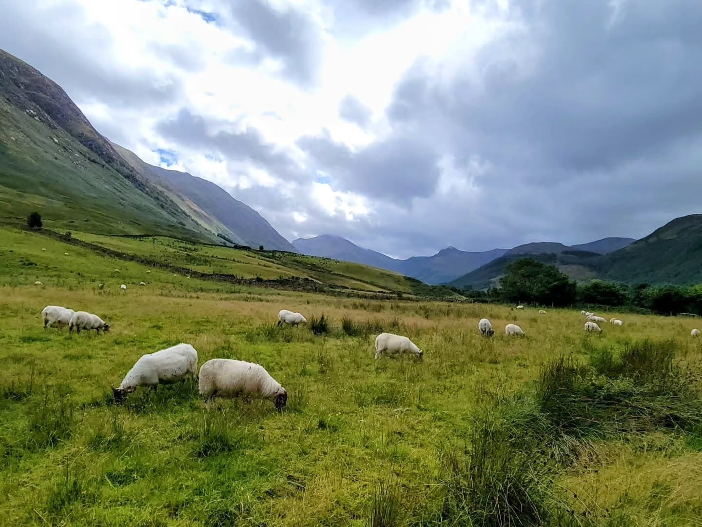 Thinking of visiting Scotland? Expect jaw-dropping landscapes, historic castles, and weather that keeps you on your toes. Read our latest blog post for tips, must-sees, and why you should always pack a rain coat. โ๐ฐ
.
.
.
.
.
#travel #twogirlsgetaway #travelblogger #scotland #scotlandtravel #Edinburgh #iamtb #wearetravelgirls #wonderful_places #sheisnotlost #traveladvisor #gltlove #girlswhotravel #glt