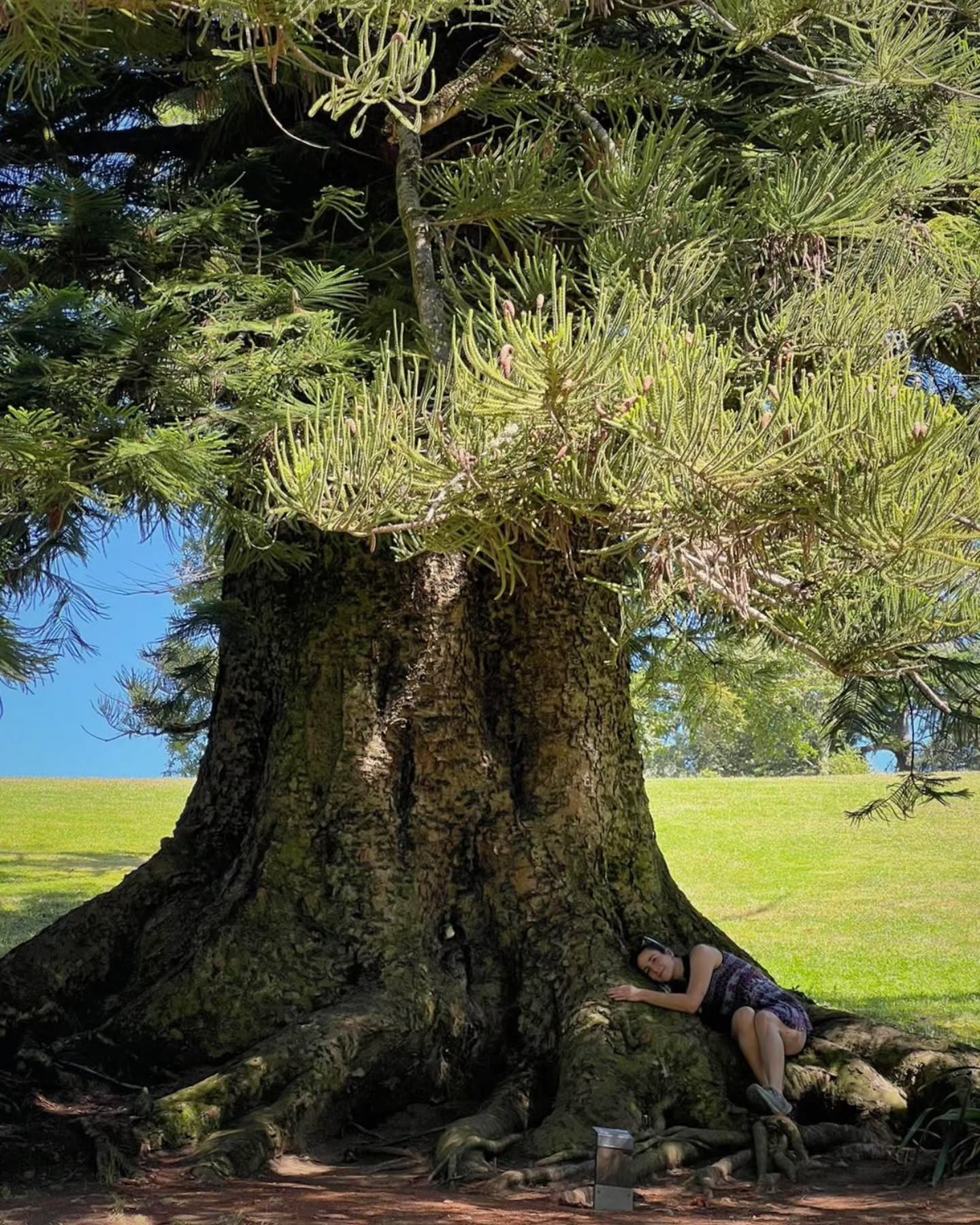 A este capítulo de mi vida le pondría «descubriendo la psiquis de un adulto chiquito» y seria best seller, pero como me sale mejor procrastinar, voy a seguir recordando los momentos que fui medianamente plena. Como este, en el que sentía la necesidad de abrazar a todos los árboles (no hay polqué).