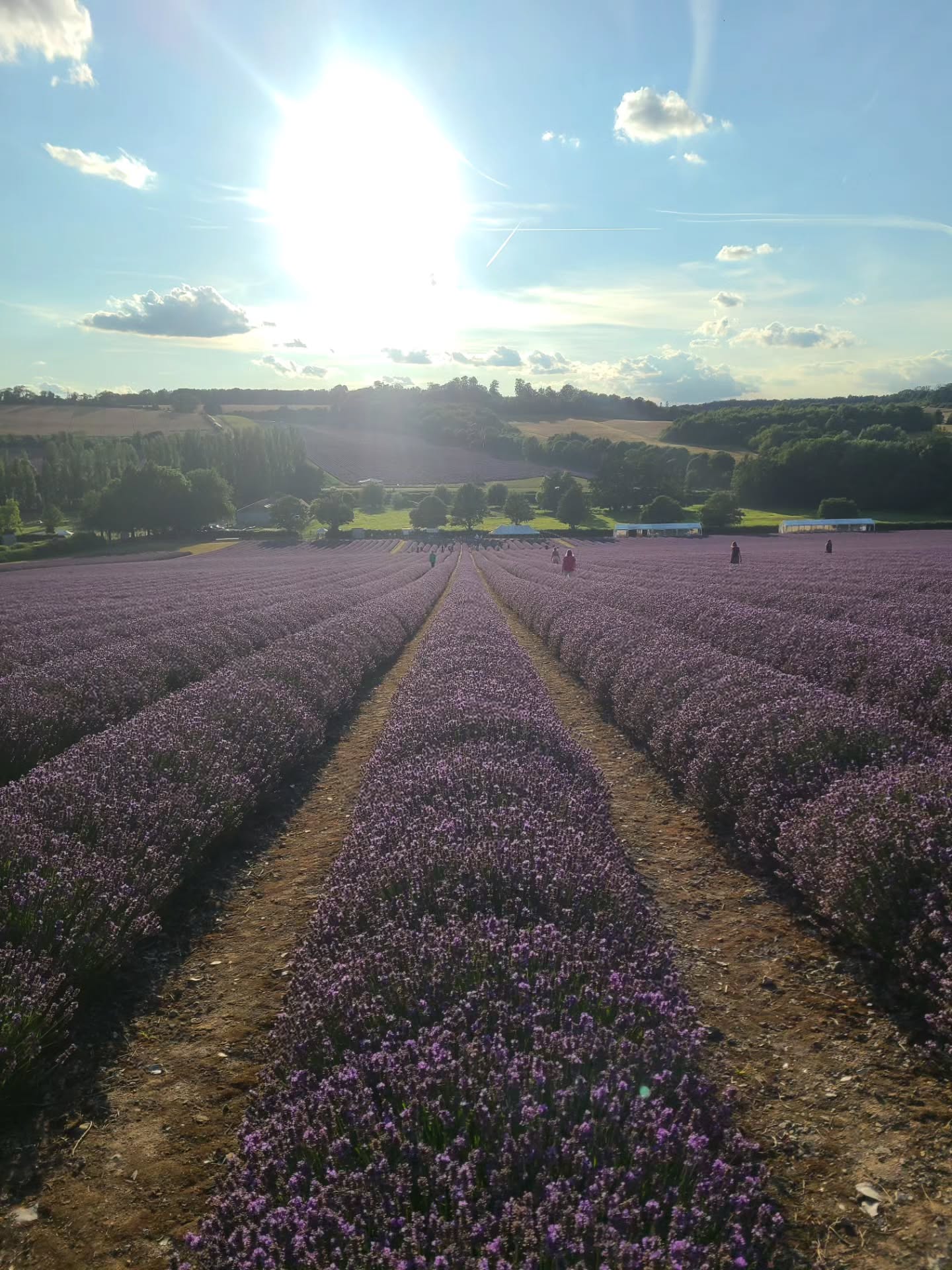When was the last time you made time just for yourself? For a slightly longer then a 5 minute pause? To be fully submerged in calm atmosphere, to breathe deeply and let go of things that no longer serve you? When Heather @the_wild_becoming announced her Pause in the lavender event @castlefarmkent I was in. Feel restored, at least for a while.