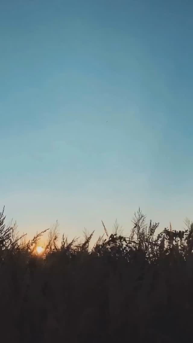 To our community of supporters—thank you. Your generosity has made it possible for these families to step into their next chapter with a little more hope and a little less weight on their shoulders. 🤍
#allinfertility #allinthejourney #niaw #niaw2025 #infertilitygrants #operationbaby