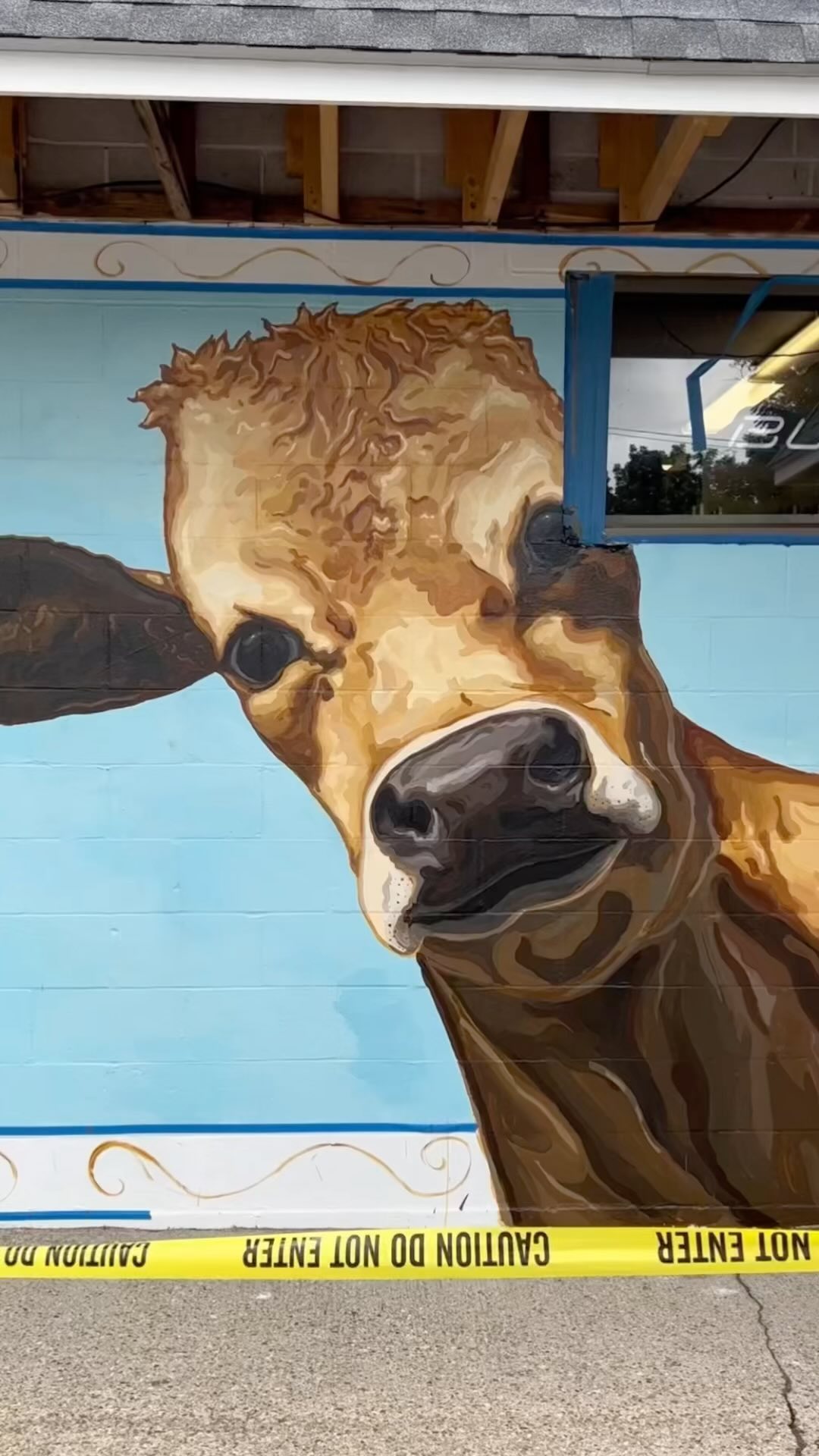 Milking this mural for all it’s worth // Shaking what this mama gave me 🐄🐄🥛🥛 #mural #publicart #essexcountycreates #cowart #farmart #🐄