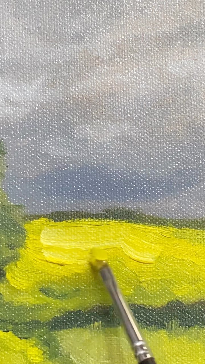 Well. I guess I’ve left my comfort zone…
#oilpainting #painting #landscape #stormy #artwork #artistsoninstagram #beginnerpainter #minipainting #artreel
