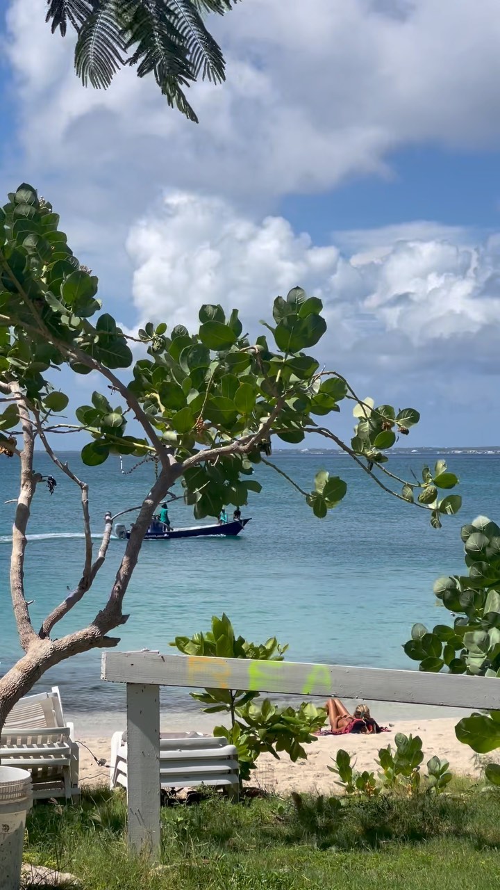 Happy St Maarten’s day??
#vacation #reel #sun #beach#karibuni #caribbeanfood #travelgram #sea #traveling #instatravel #selfcare #sunset #caribbean #paradise #nature #boat #sxm #day #saintmartin #travelblog #explore #island #trip #pinelisland