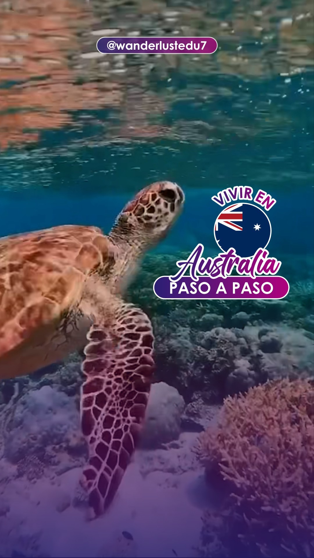 ¡Vive una experiencia única y estudia en inglés o un curso vocacional en Australia! ???
¿Por qué Australia? ?