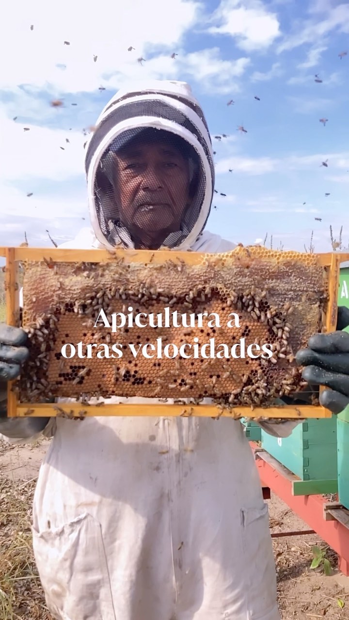 El mundo de la apicultura va a otras velocidades. Te da perspectiva. Entiendes los procesos lentos de la naturaleza que no se perciben a nuestros ritmos cotidianos.