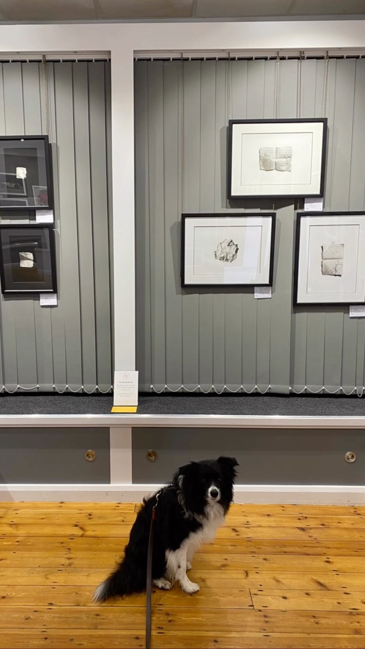 What a great gallery @thegalleryholt is! Lovely place with great staff and some amazing work on display.
I created several pieces of work especially for their Enigma show earlier this year and it was great seeing them hanging in the gallery in person last weekend. Even Poppy wanted a picture with them..
On to the next project now!
#contemporarybritishart #pastelsociety #holt #charcoaldrawings #artexhibition #originalartwork #worksonpaper