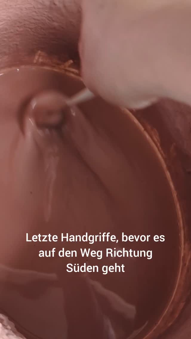 Morgen geht es los nach Diessen, also allerhöchste Zeit für die letzten Handgriffe in der Werkstatt
#marktvorbereitung #diessenamammersee #töpfermarkt