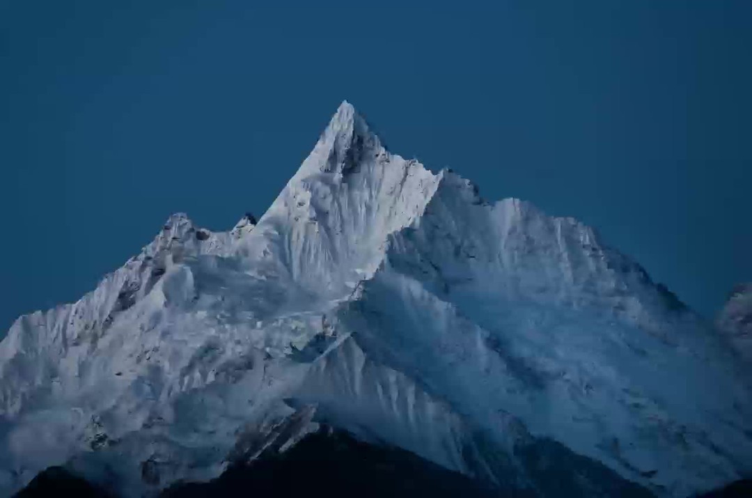 🌾 Nature’s Gift
Tibetan herders cover pine needles gently for next year’s harvest;