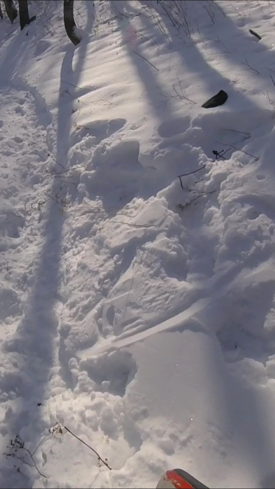 J'ai décidé de tester mon nouveau sentier avec ma riverboard, qui est clairement titulaire d'un doctorat en Awesome. Encore quelques tours et je lancerai des tricks comme si j'était sur une vague prime.
ㅤ
Decided to test out my new trail with my riverboard, which clearly holds a PhD in Awesome. A few more rounds and I'll be throwing tricks like if i was on a prime wave.
...
..
.
@earth_veins
#riverwave #freestyleriverboarding #riverboard #bodyboarding #riversurfing #bodyboard #peopleareawesome #awesome #water #nature #adventrure #outdoors #fyp #foryou #trending #winter
#wintervibes #snow #snowboarding