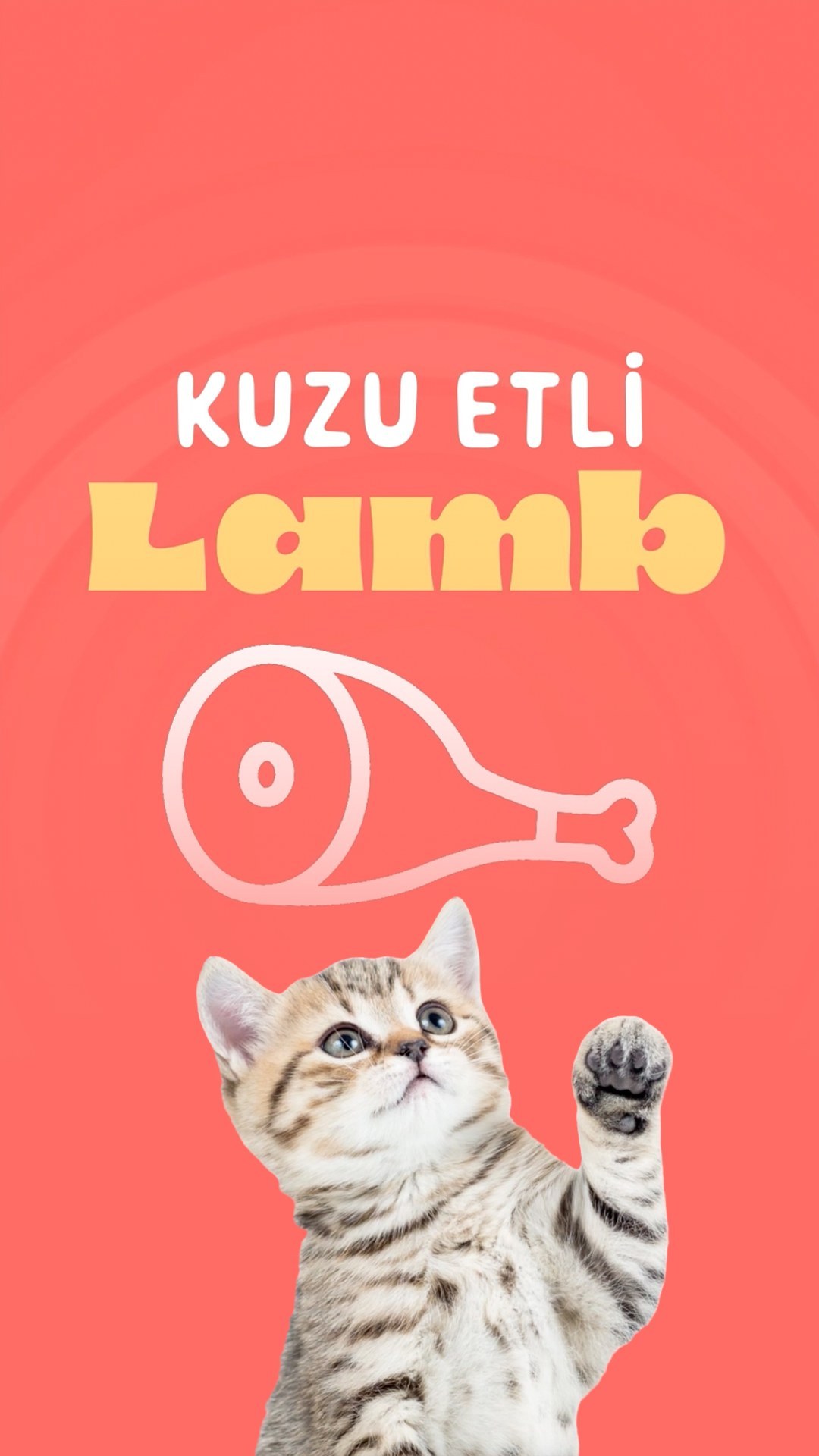 Markanıza özel üretim ile Yavru Kediler için besleyici ve sağlıklı GDO, soya, şeker ve tahıl içermeyen mükemmel kuzu etli yaş mama lezzeti. 🐱 🐑
Complete wet food for kitten with lamb 🐱 🐑
Branded speciality kitten food production
#gmofree | #soyfree | #sugarfree | #Grainfree
#sağlıklımama #doğalkedimaması #kedibeslenmesi #kuzuetlimama #kedibakımı #mykoncanned #kedileriçineniyisi #yetişkinkedimaması #kedimaması #yavrukedi #yavrukedimaması #kittenlove #kittenstagram #kittensofinstagram #veterinerhekim #cats #cat #grainfree #kedibeslenmesi #kedibakımı #kediseverler #catsofinstagram