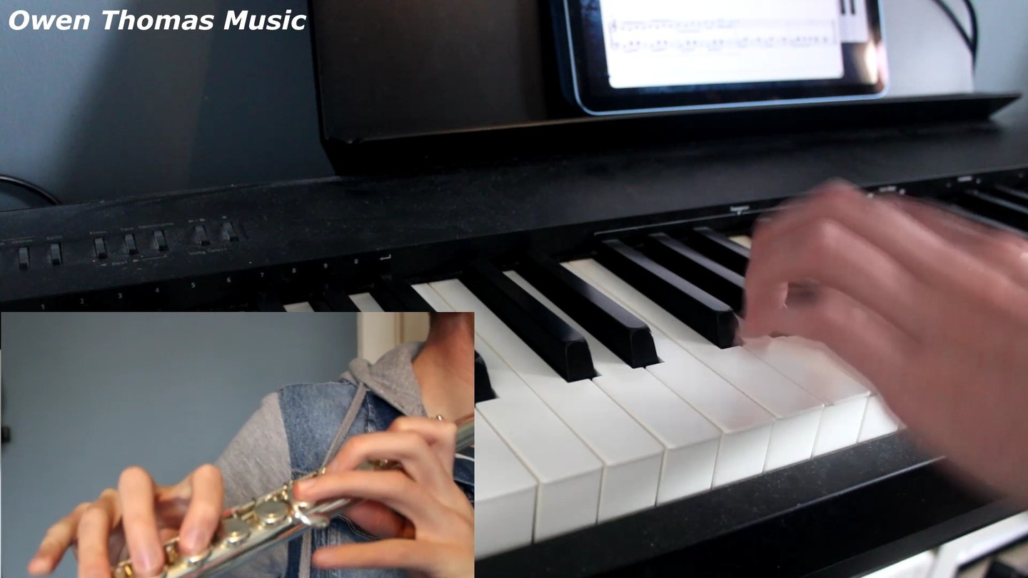 This is my short cover of The Lost Woods, from the Legend of Zelda Ocarina Of Time.
Would you like to learn this? Feel free to let me know, I'm teaching all through the summer!