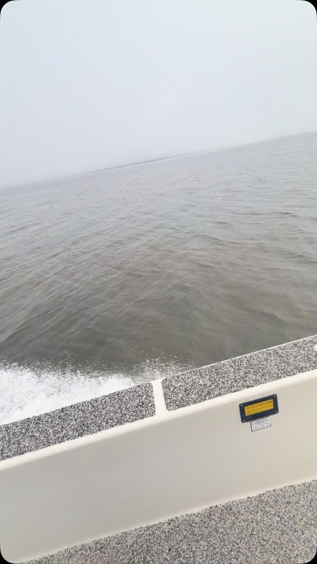 Fogs runs with a side of Rooster booster @bobsmachine @mercurymarine