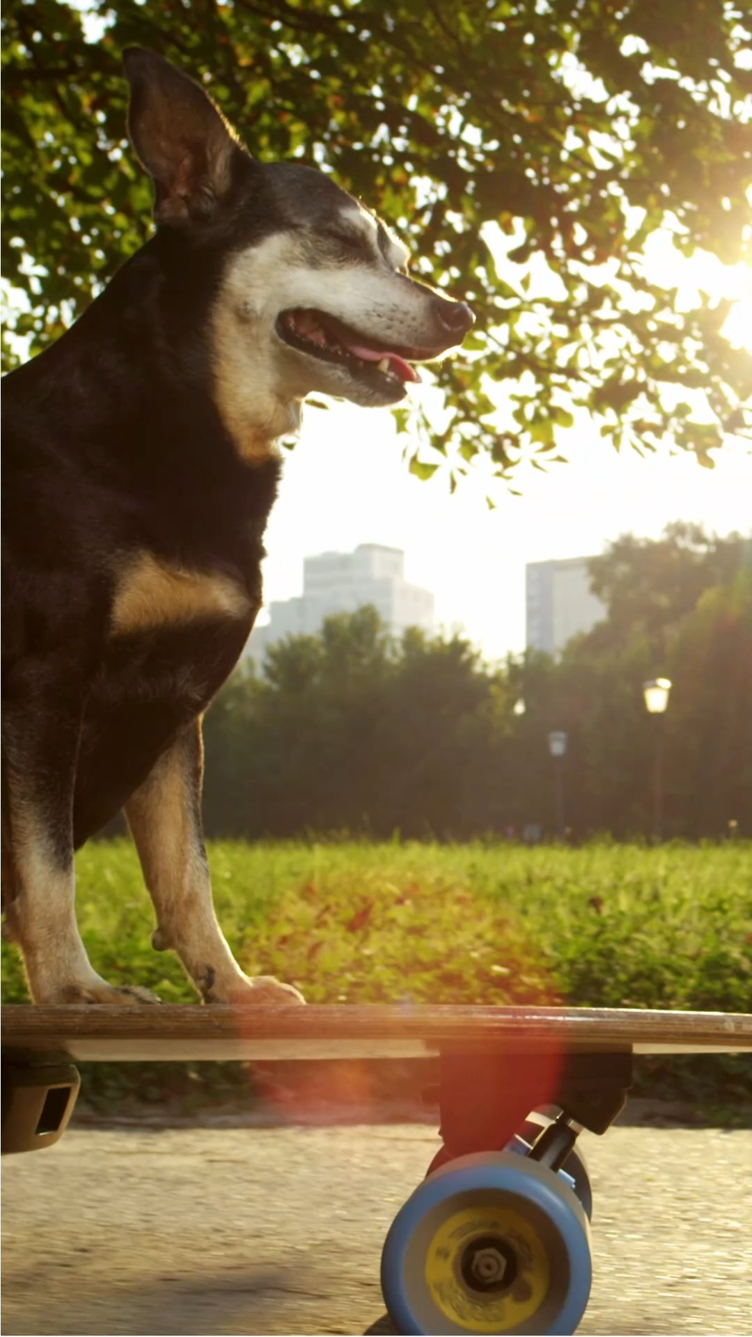 Doğallığın Enerjisi 🐶
Köpeğinizin keyifle tüketeceği, %70 taze tavuk eti ve yalnızca gerekli vitaminlerden oluşan katkısız ve dengeli bir mama.
The Energy of Naturalness 🐶
A balanced, additive-free food with 70% fresh chicken and only essential vitamins that your dog will enjoy.
#gmofree #soyfree #sugarfree #Grainfree
#sağlıklımama #dogalkopekmamasi #köpekbeslenmesi #tavuketlimama #DoğalMama #balıketlimama #sığıretlimama #köpekbakımı #mykoncanned #köpeksevgisi #yetişkinköpekmaması #köpekmaması #veterinerhekim #doglover #dog #grainfree #köpek #dogofinstagram #dogfoods