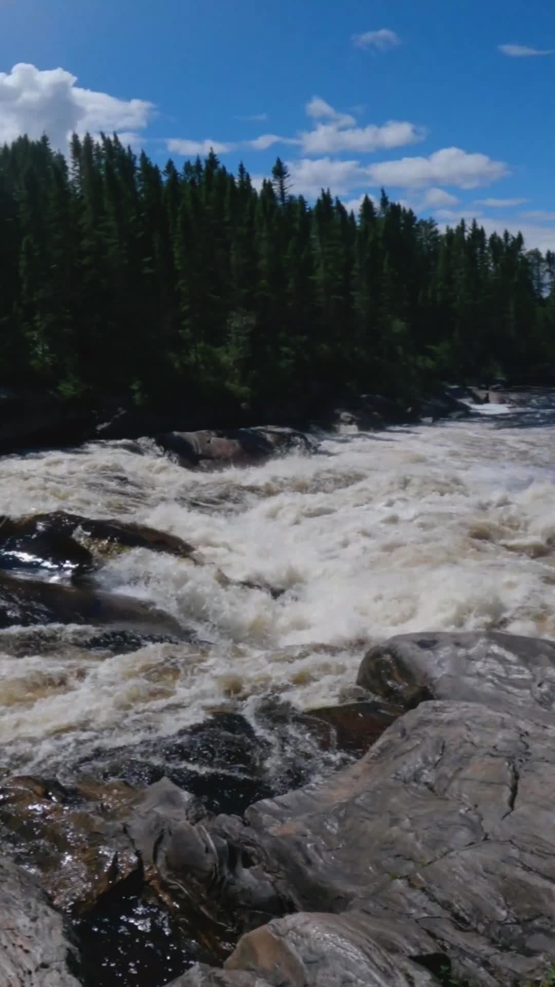 Two Ferry Blueberry à bas niveau est toujours un rapide cool???
Two Ferry Blueberry at low water is still a cool rapid???
.
.
.
@kayakdetail @immersionresearch @sweetprotection @wakakayaks @sammyduff1234
#kayak #whitewater #whitewaterkayaking #whitewaterismagic #whitewaterkayak #epic #kayaking #kayaklife #extremesports #extremekid #kayakingkids #sport #kayakingfun #kayaker #paddling #peopleareawesome #awesome #water #nature #earth #adventrure #outdoors #fyp #foryou #trending