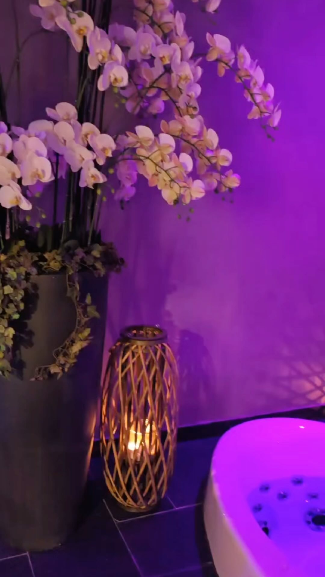 Stel je eens voor:
Een dag helemaal voor jezelf. Even weg uit de drukte van werk, kinderen, en dagelijkse verplichtingen. Laat je zorgen wegsmelten in de warmte van de sauna in onze privé spa, voel hoe je huid tot leven komt in de stoomcabine, en ontspan je spieren in de heerlijk borrelende whirlpool. Terwijl je geniet van een silk spa bad dat de huid intensief reinigt, voel je de spanning langzaam verdwijnen. ✨??
Na een moment van diepe rust in onze lounge met een knisperend haardvuur, ben je klaar voor pure verwennerij. Combineer je dag met een heerlijke lunch, een ontspannende massage, of kies voor een luxe gezichtsbehandeling. Laat je haar wassen, knippen en föhnen, zodat je stralend weer naar huis gaat.
Gun jezelf deze dag, samen met je partner of beste vriendin. Je verdient het om even op adem te komen.
Wie neem jij graag mee? ??✨
#apparance #privatespa #sauna #relax #ontspanning #dagjeweg #couplegoals #vriendinnen #moederdochter #zussen #enjoy #healthylifestyle #massage #facial #breda #ettenleur #stoomcabine #whirlpool