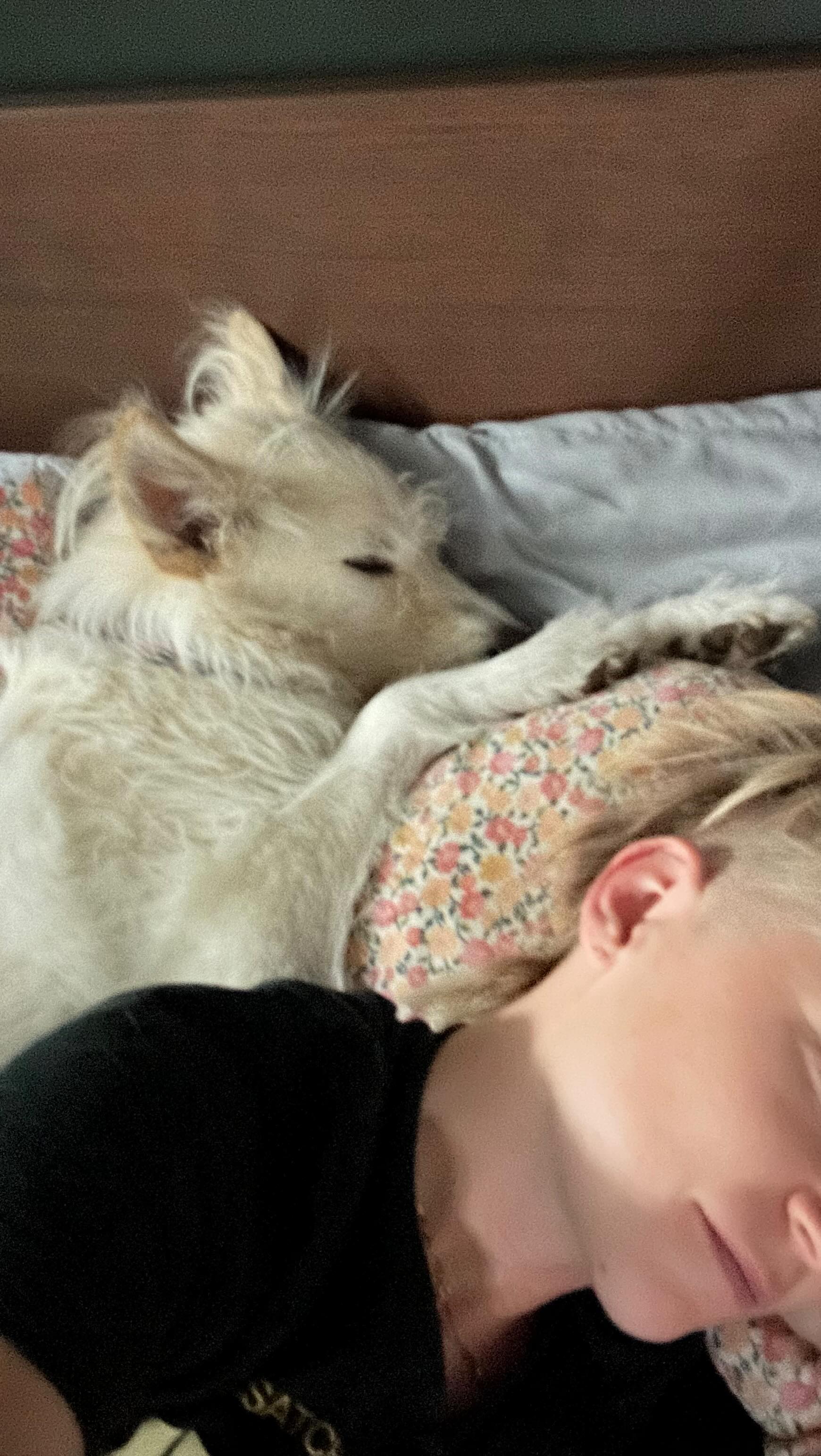 What do we think. (And who can recognize what we’re watching)