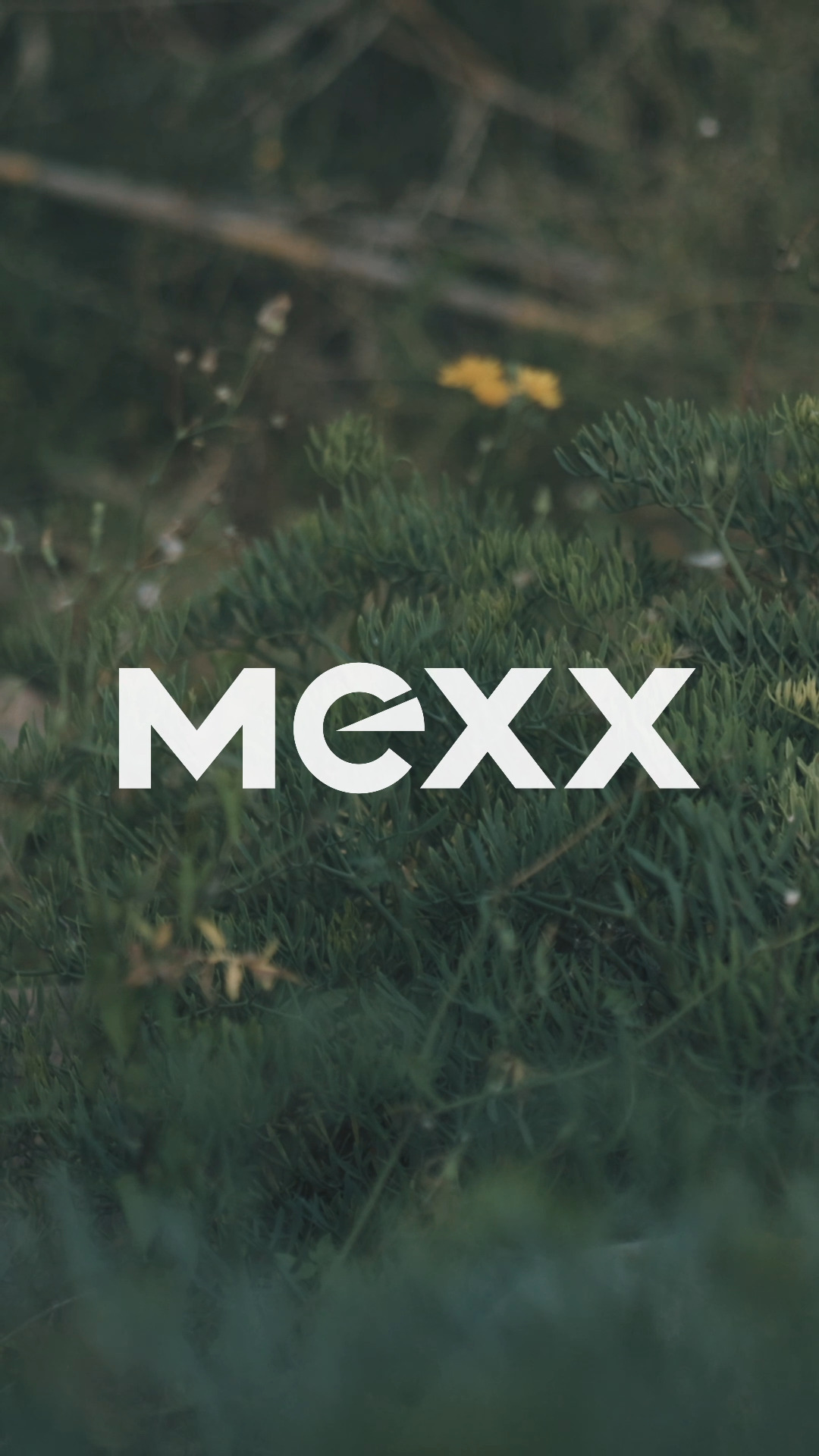 The men's style 2608 from Mexx made from hand-finished acetate brings a lot of style into play with its masculine hexagon shape! The angular, geometric shape meets high-quality, sporty aluminum temples and makes this model a real eye-catcher. A must-have for anyone who loves striking design and clear lines - a masculine look with an extra dose of trend factor!
#mexxeyewear #mexx #eyewear #eyewearfashion #glasses
#lunettes #okulary #brillen #brillenmode #brillentrends #spectacles #happy