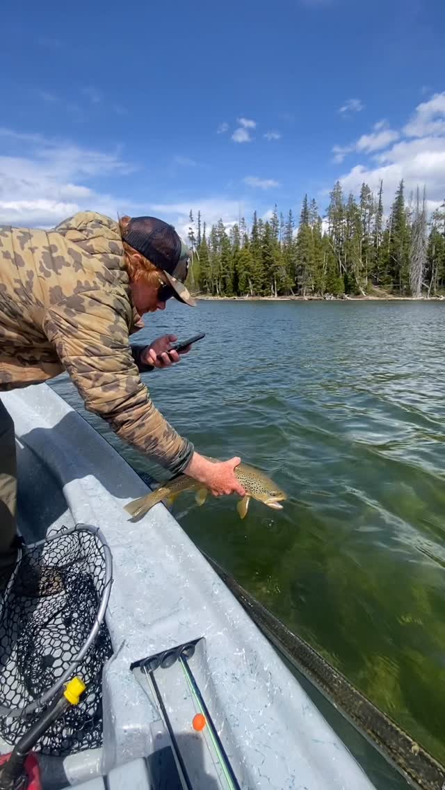 Flows are right, fish are eating, and summer’s rolling. Don’t miss this window. Book with western river anglers at www.westernriveranglers.com +1 (307) 349-1312 #flyfishing #jacksonhole #letsgofishing #tetons