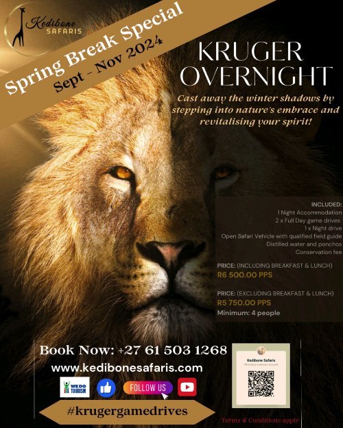 * SPRING BREAK SPECIAL *
September - November 2024
KRUGER OVERNIGHT
Includes:
1 Night Kruger accommodation
2 x Full days on safari
1 x Night drive
Open Safari Vehicle with qualified nature guide
Distilled water
Conservation fee
Whatsapp me for more details
on +27 61 503 1268
Cast away the winter shadows, and let's dive into Kruger watching a new season awaken in nature!
Follow:👇
@kedibone_safaris
www.kedibonesafaris.com
E-mail: info@kedibonesafaris.com
#kedibonesafarifamily #safari #krugermagic #mopani #springbreakspecial #myafricandream #hyena #big5 #spottedhyena #scavenger #predator #action #reflection #naturewildlifephotography #specialmoments #krugernationalpark
#bestsafaribyfar #gamedrives #wildlife #wildlifephotography #wildlifelovers #nature #natgeowild #wildographydudette #safariphoto #phalaborwaco #Africa #southafrica #girlpower #wedotourism
@krugernationalpark @phalaborwa.co.za @renataewaldwildlifephotography @meetsouthafrica