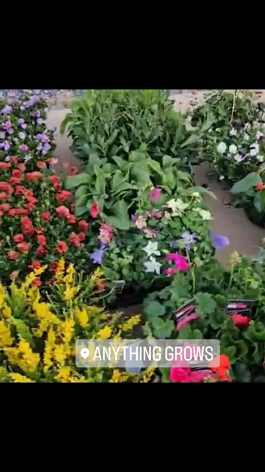 Getting ready for Spring Fair @heiferstationwines this weekend!! Tiny helper included..
Who's coming?