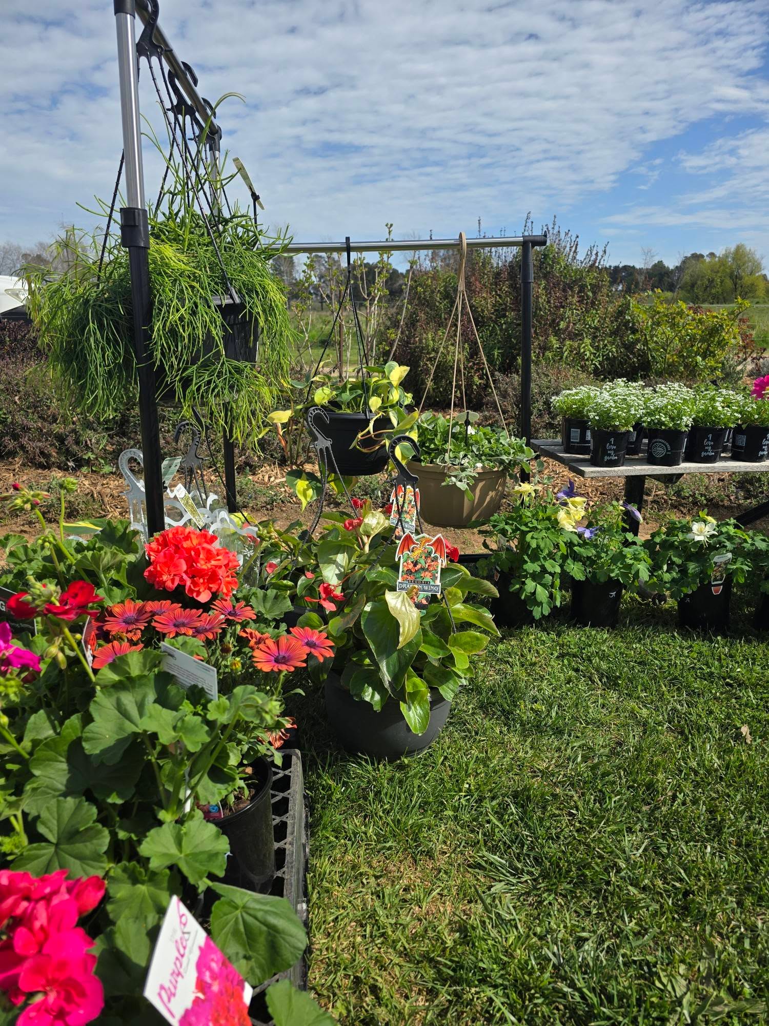 SPRING FAIR IS ON! @heiferstationwines