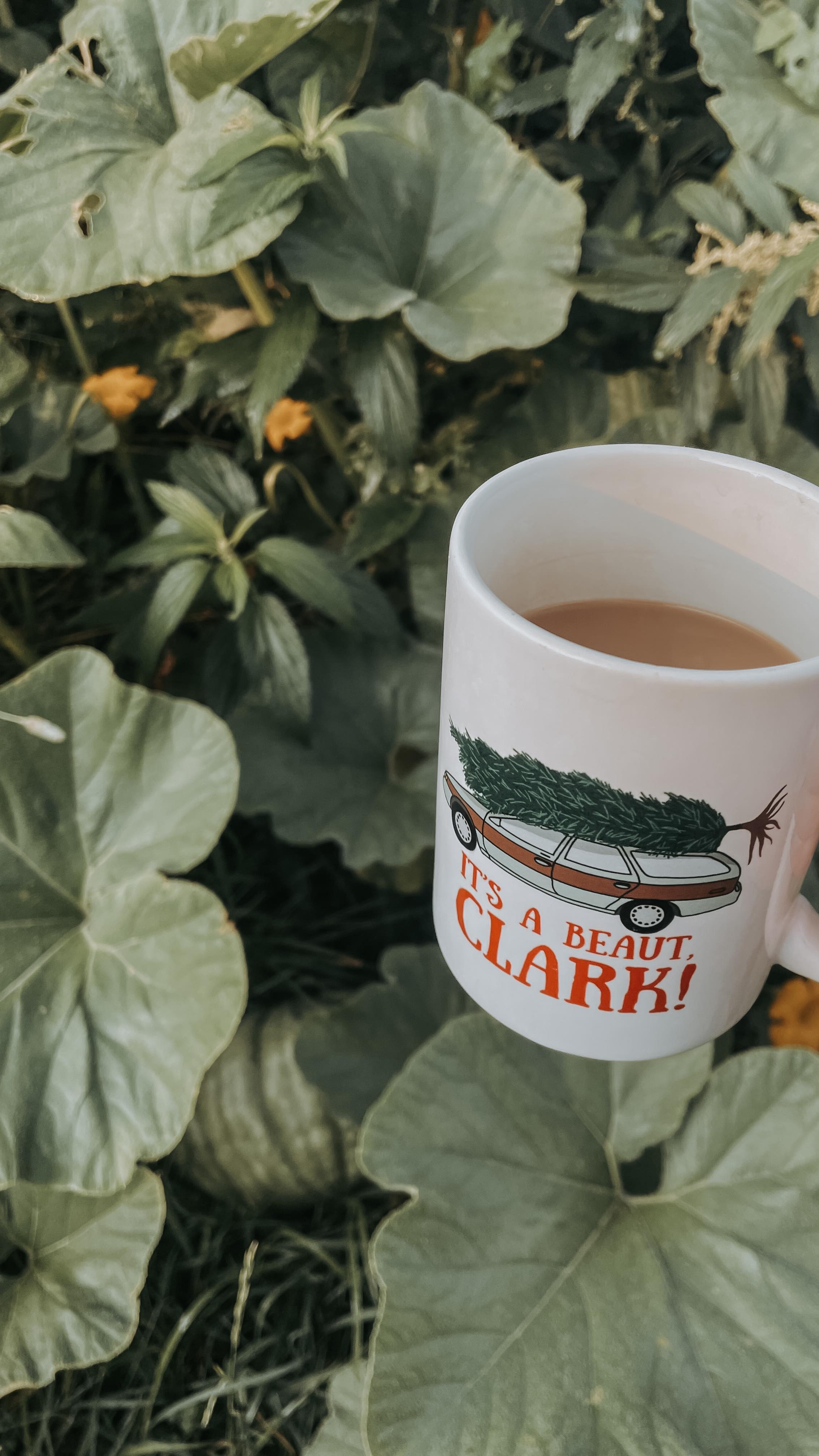 Anyone else use these movie quotes all year long?
#gardening #christmasvacation #nationallampoons #garden #homestead #homesteading #gardeninglife #gardeninglove #pumpkins #mornings #gardenersofinstagram #gardenersofig