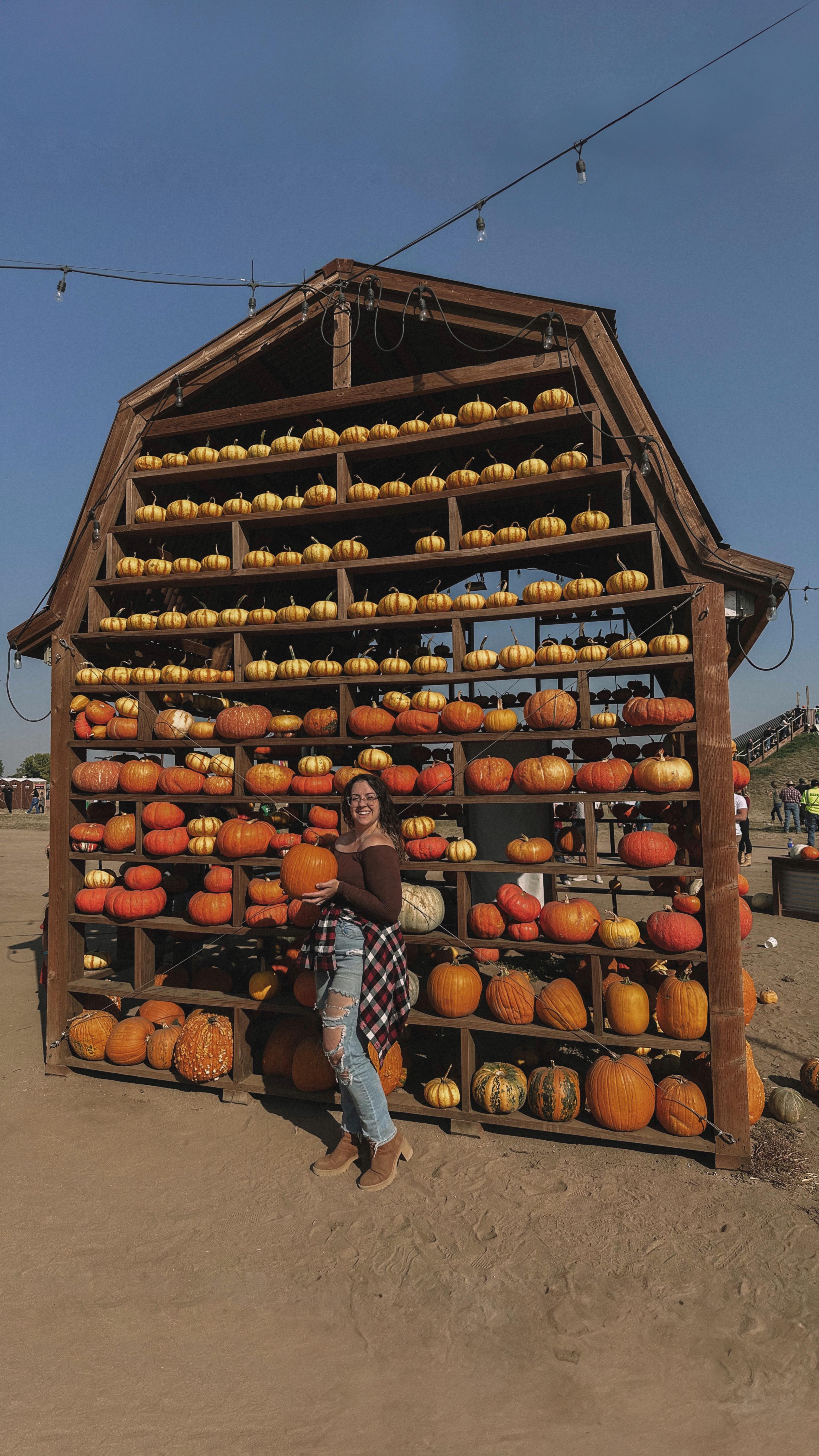 A pumpkin patch pic a day keeps the upcoming winter blues away 🤎🎃🍁
You can use my 🔗 in my bio to get 15% off your order from @klassy because their bramis are absolutely PERFECT for any occasion. I absolutely love how I can look cute AND still have an outfit that is functional and appropriate for keeping up with my toddlers 🥰
Comment PUMPKIN and I’ll send you all the deets for this outfit!
#Klassy #KlassyVIPs #OOTD #Midsize #MidsizeFashion #MidsizeStyle #FallFashion #Plaid #FallOutfit #KlassyNetwork #KlassyStyles
