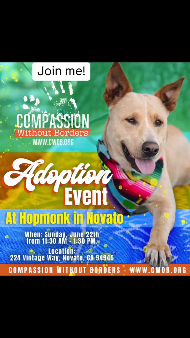 Join me for a super fun mobile adoption event at HopMonk Tavern in Novato. Grab a snack and a beer, meet some cool dogs and take one home if it feels right. I would love to see your beautiful face Sunday, 6/22 from 11:30-1:30. Please share!