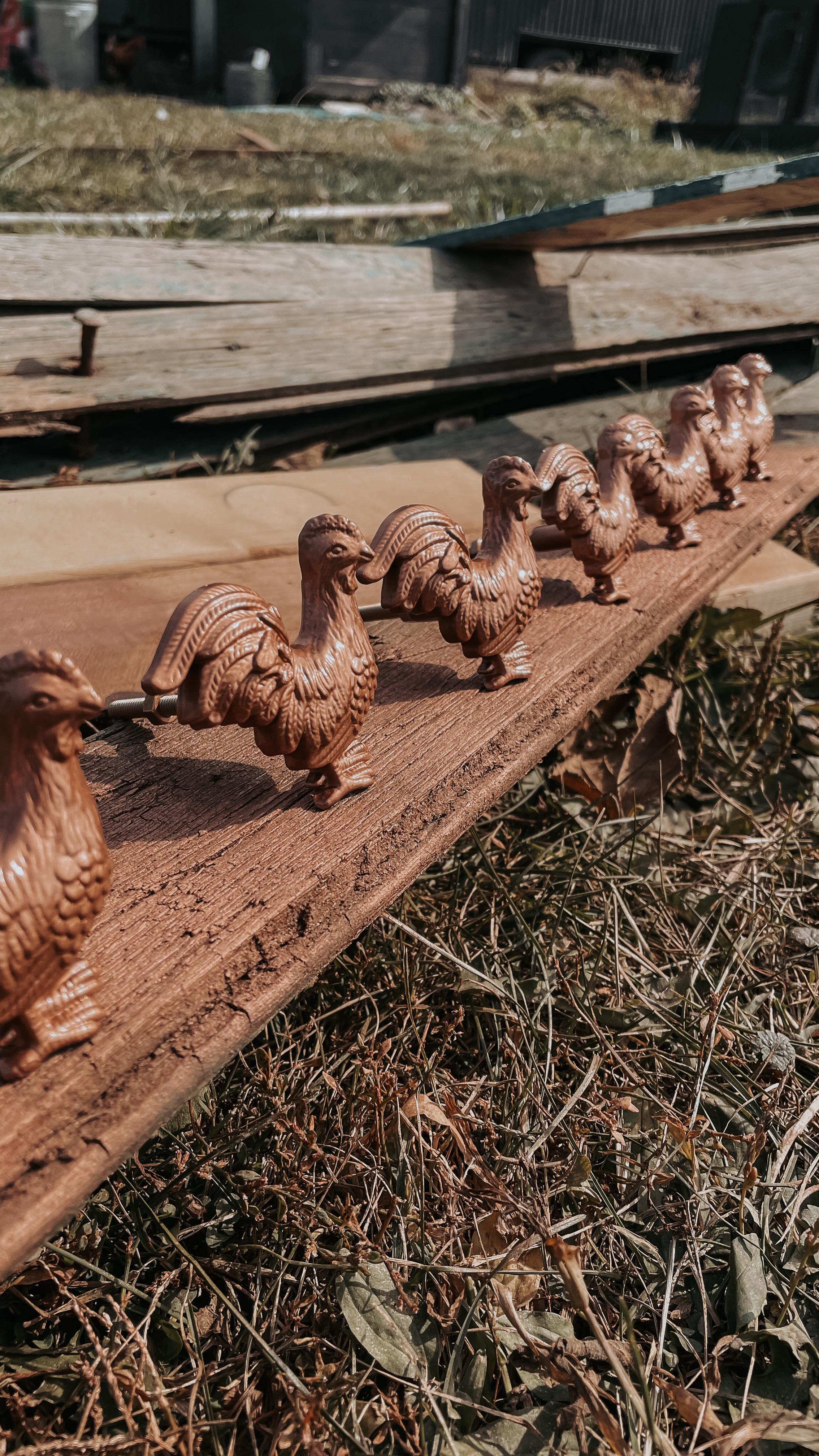 When you find the perfect chicken coop knobs but the color just doesn’t quite match your aesthetic- insert spray paint. ?
These knobs will be on the main side of our chicken coop and they look much better with a touch of paint!
#chickencoop #chickendecor #chickens #chickensofinstagram #chickensofig #renovation #renovation #renovations #farmdecor #chickentractor