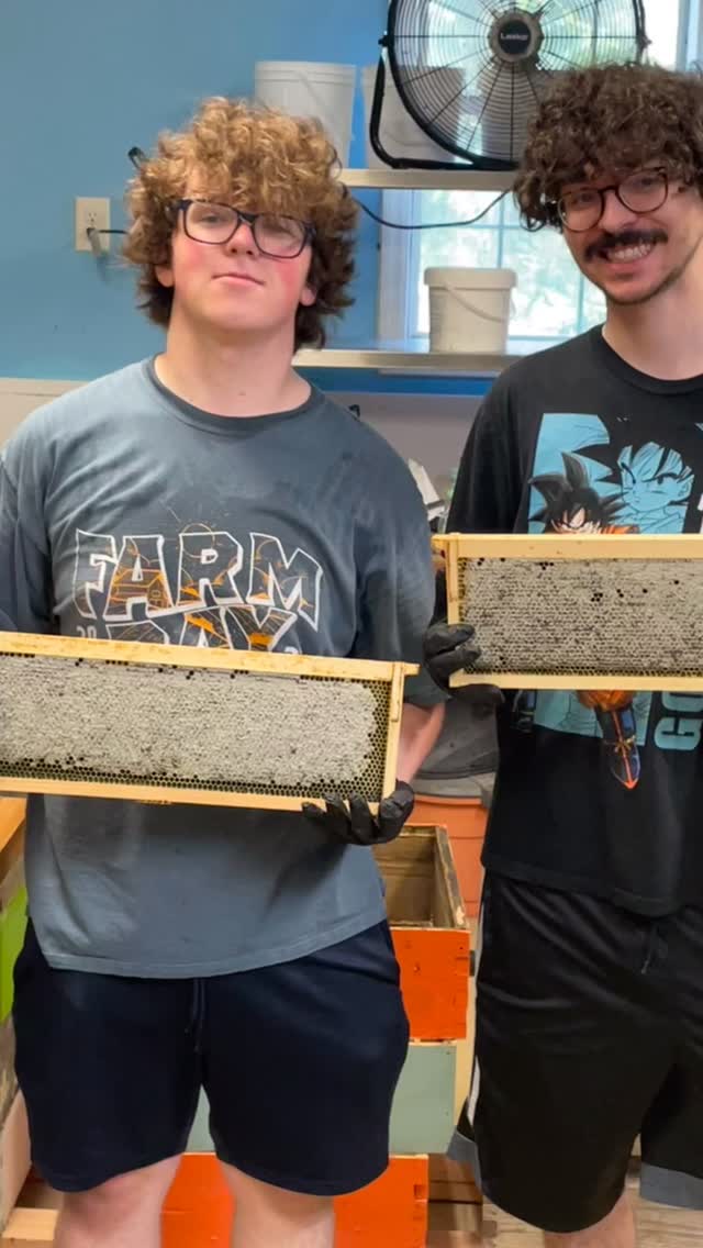 #savethebees🐝 #beeslife #localhoneynashville #livebeeremoval #tennessee #nashville #bees #beeswax #nashvillebeekeepers #honey #summervibes #4thofjuly