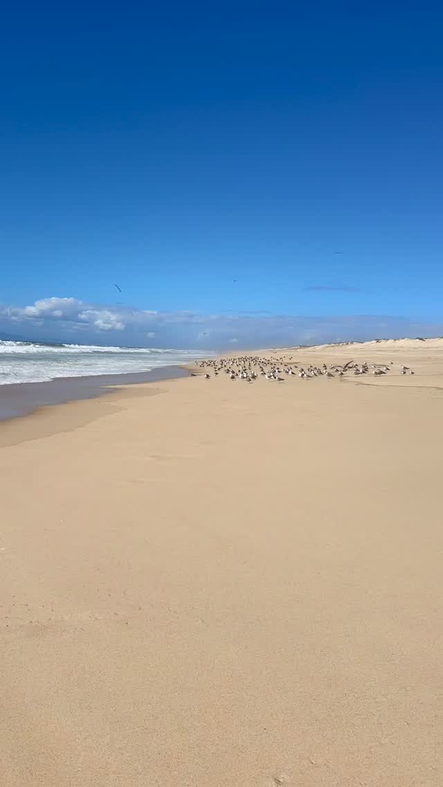 Thank you to all of you who are joining us for the upcoming AHOD retreat, September 24–28 with @calinebynature and @yourstylebycarole, we’re counting the days!
This one is going to be powerful, a deep dive into alignements with our expert @calinebynature and into your best look with our expert @yourstylebycarole ✨
And for those who couldn’t make it this time... stay close. More retreats are coming ☀️🙌🏼 why not Lebanon 🇱🇧 2026 with @dida_therapy ☺️
#wellnessretreat #retreat #portugal #miami #dubai #lebanon #AHODRetreat #SeptemberSanctuary