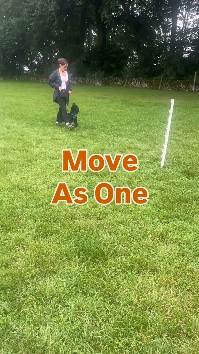 Heelwork: more than just walking nicely
Heelwork’s one of those things that sounds simple... until you try to do it with a dog whose nose is halfway to Wales. But proper heelwork isn’t about control — it’s about rhythm, awareness, and a shared understanding of pace.
Your dog’s not a robot. They’re learning to move with you, not despite you.
Start by breaking it down.
Inside the house, on a lead, no distractions.
Mark and reward every time they check in, every step that feels connected.
Then build slowly — garden, quiet walks, busier environments.
Don’t rush it. Don’t fight the pull.
Teach them that staying close feels good, safe & rewarding.
The goal? To move as one. It’s a dance, not a dictatorship.
Here are some of my wonderful clients in their final week of our 4-week Lead Work & Recall course ? Some fabulous leadwork progression made in just 4 weeks — all through games and boundaries. It’s not just about perfection... just connection. ?
Share this post if you’ve ever felt like your arm was about to pop off during a walk... we’ve all been there.