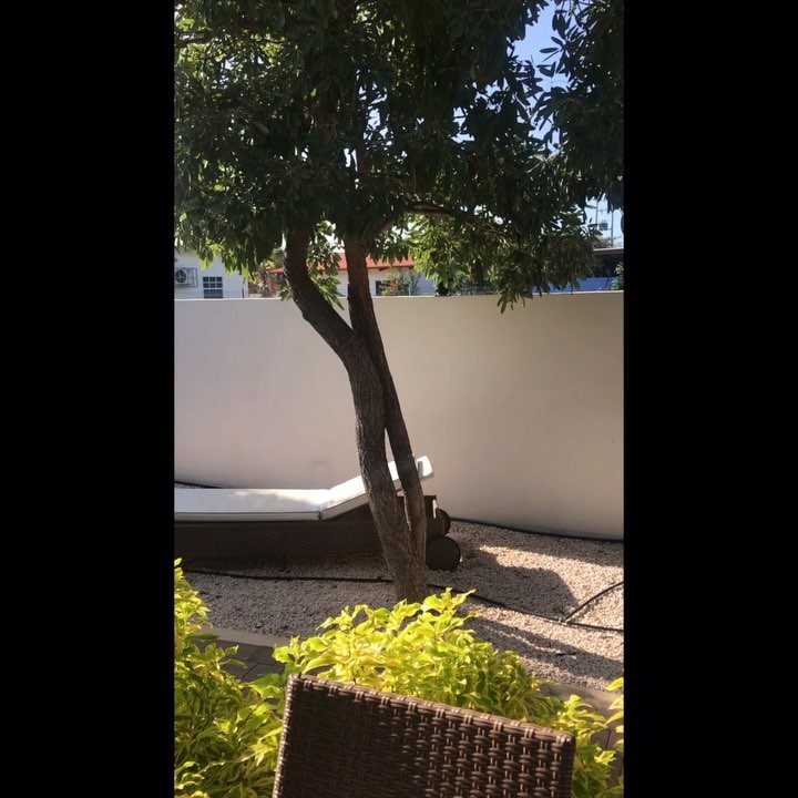 Highlight of the week: The Orange Apartment