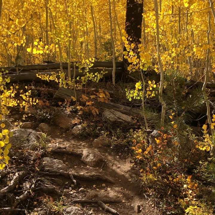 Don't you want to call Colorado home for awhile? Gap year semesters for spring 2021 are booking fast and so many students are choosing a gap year rather than online or distanced options.Now is your time! Find yourself in the wild!
Gap Year Base Camp offers gap year consulting, counseling, support and inspiration for the best year of your life!
.
.
#gapyearbasecamp #gapyear #collegecanwait #senioryear #explorethegapyear #gapyearcounselor #gapyearideas #classof2020 #familygapyear #gapyearlife #traveltolearn #workabroad #studenttravel #igtravel #travelabroad #semesterabroad #traveltheworld #culturalexchange #wanderlust #collegeinfluencer #passionpassport #bethechange #makeadifference #travellife #backpackers #travelinspiration #volunteerabroad #volunteer #coloradoliving