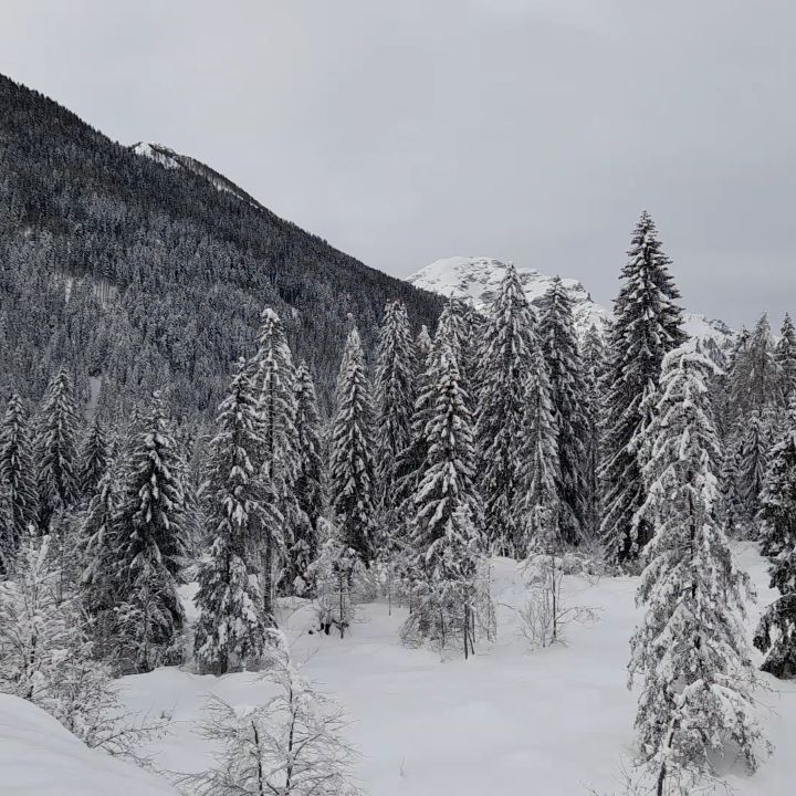 Buongiorno buongiorno...oggi tettooooooo