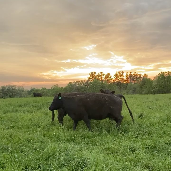 We believe this might just be God’s Country. #CanadianBeef #TheHeritageAngusWay ??
