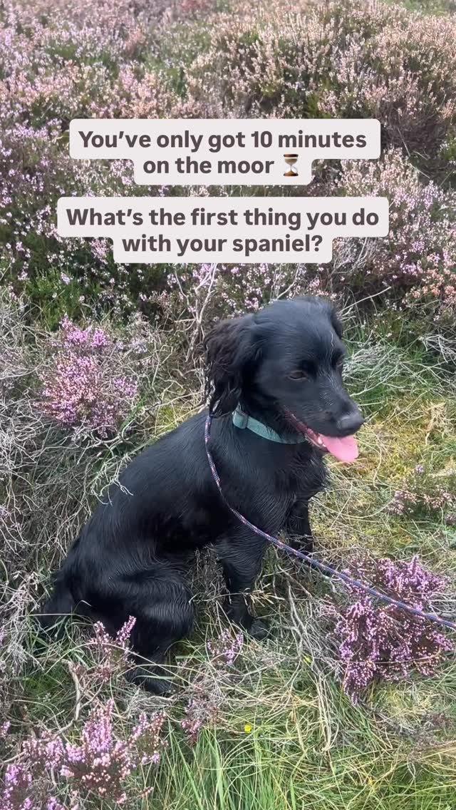 A bit of fun for a Friday..
Your guess = her answer ?