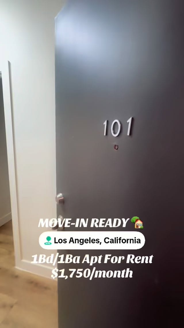 247 S Alexandria?Only $1,750/month for this spacious 1 bedroom unit with beautiful, archwd window and shelving space. Newly updated kitchen with appliances included, of course! Dm us to schedule an in-person tour or ask about our other vacancies ✉️
.
.
.
.
#apartmenttour #apartmenttherapy #forrent #affordableapartments #apartmentforrent #alpinelaproperties