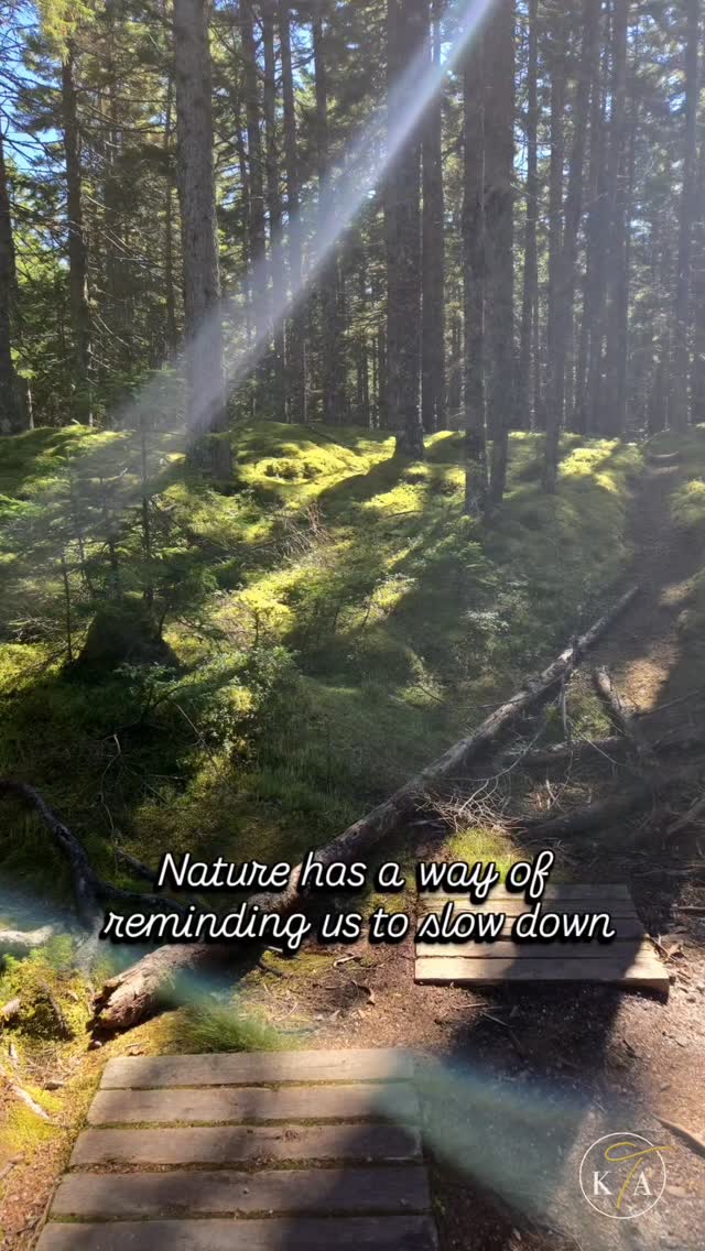 Discovering a hidden gem 🌿 Barred Island Preserve in Maine is full of quiet magic. Barefoot wandering, soaking it all in, and realizing sometimes the simplest moments—like lying in a bed of moss—are the most unforgettable.
.
.
.
.
.
#HiddenGem #BarredIslandPreserve #MossMagic #SlowDownAndBreathe #BarefootAdventures #SimplePleasures #acadia #AcadiaEscape #MaineTravel #simpleluxury