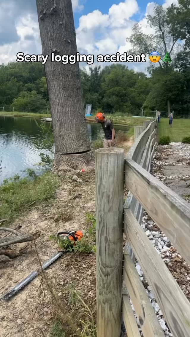 Gotta watch out when the tree is falling
#logging #lumberjack #tree #forest #fail #job #onlinejob #remotejob #cv
