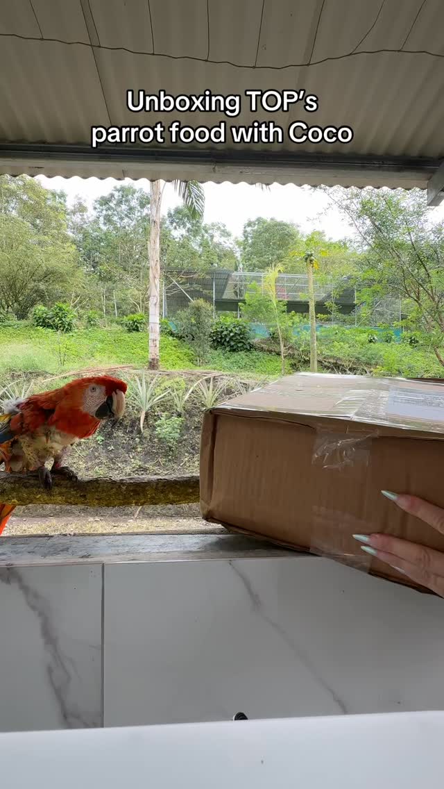 Thank you so much @topsparrotfood for the wonderful donation!  The birds love the pellets🥰